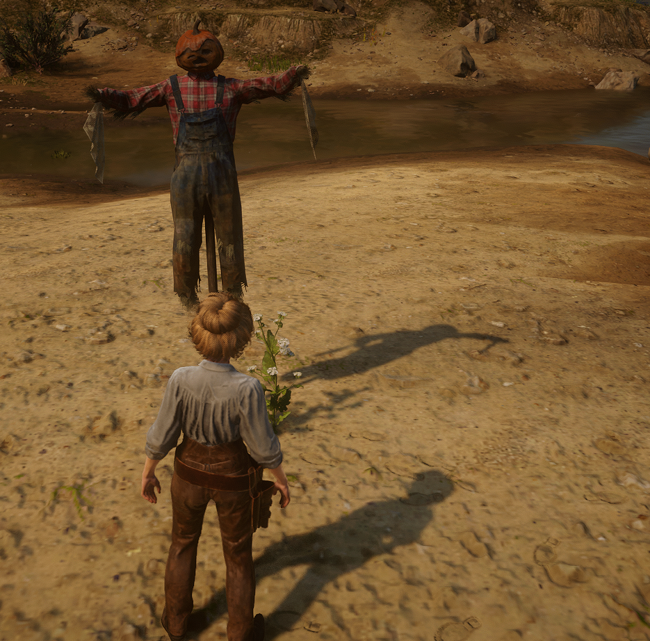 Colocar Espantapájaros